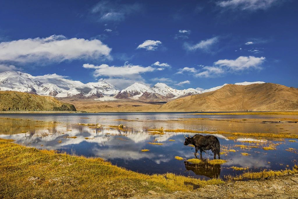 微信圖片_20231212145555.jpg 微信圖片_20231212145555.jpg