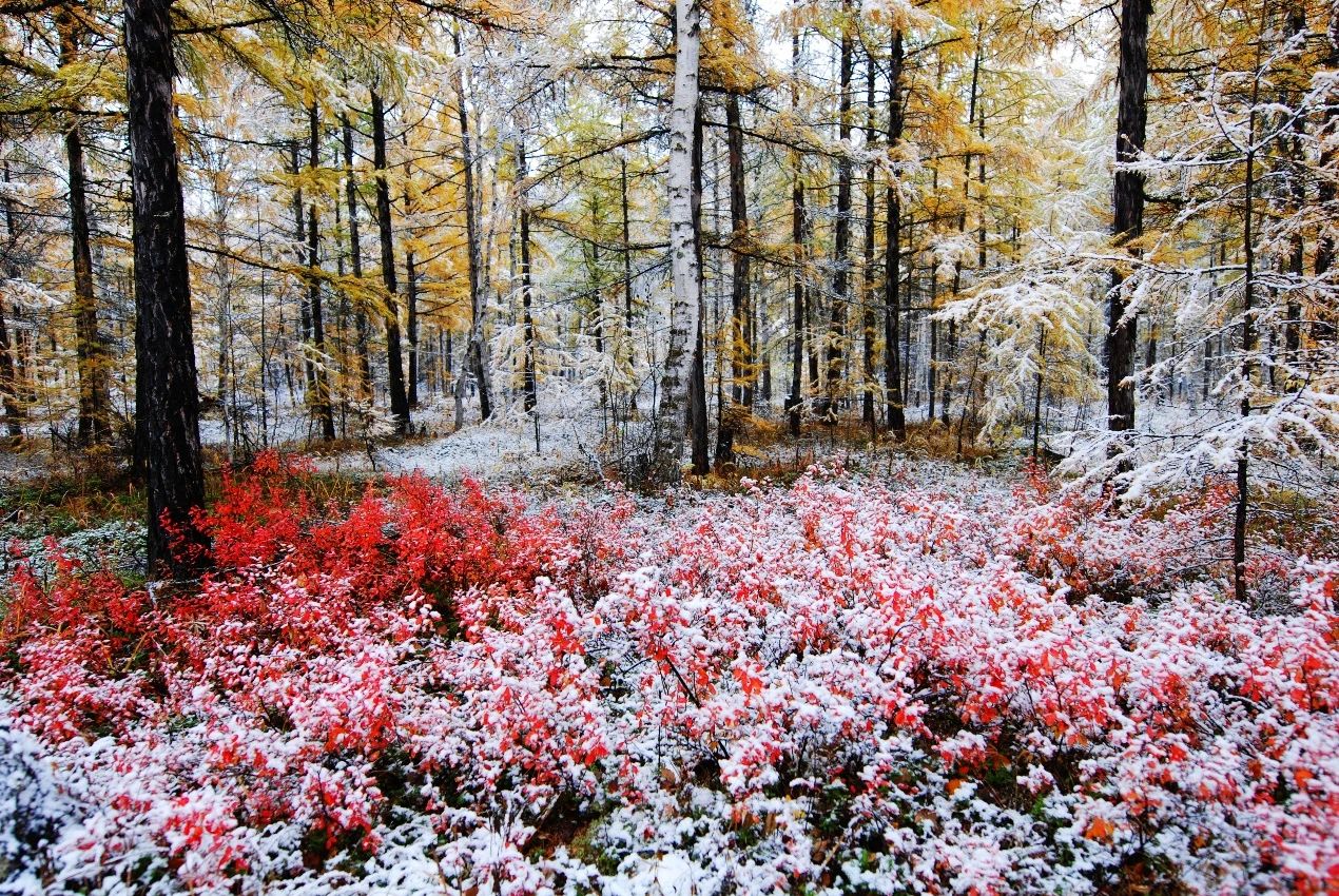 微信圖片_20231118181245.jpg 微信圖片_20231118181245.jpg