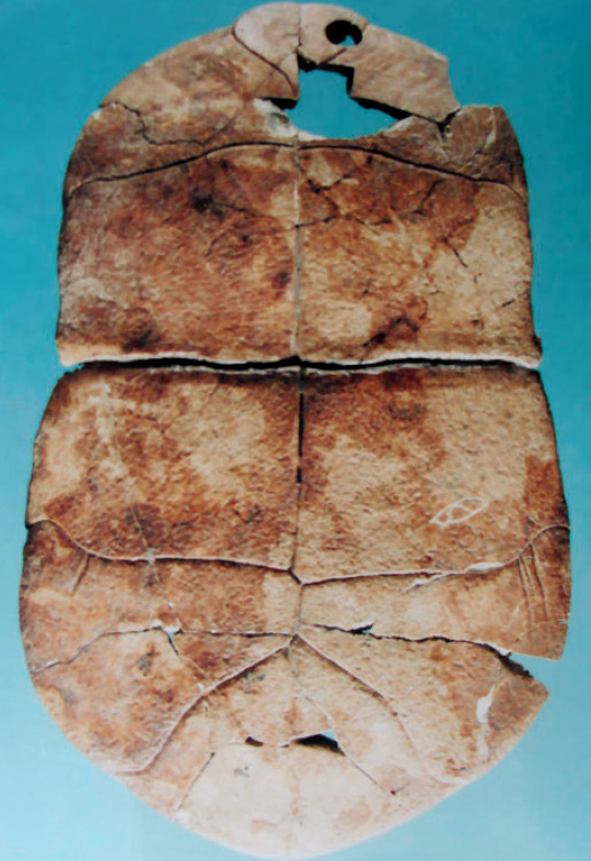 微信圖片_20240109085042.png 微信圖片_20240109085042.png