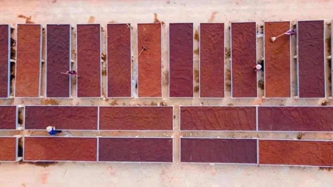 微信圖片_20231201162724.jpg 微信圖片_20231201162724.jpg