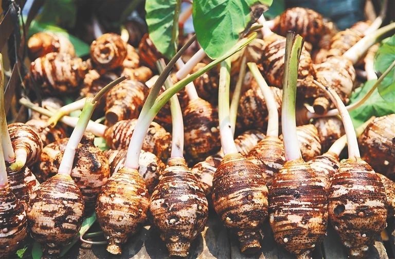 微信圖片_20240911102843.jpg 微信圖片_20240911102843.jpg