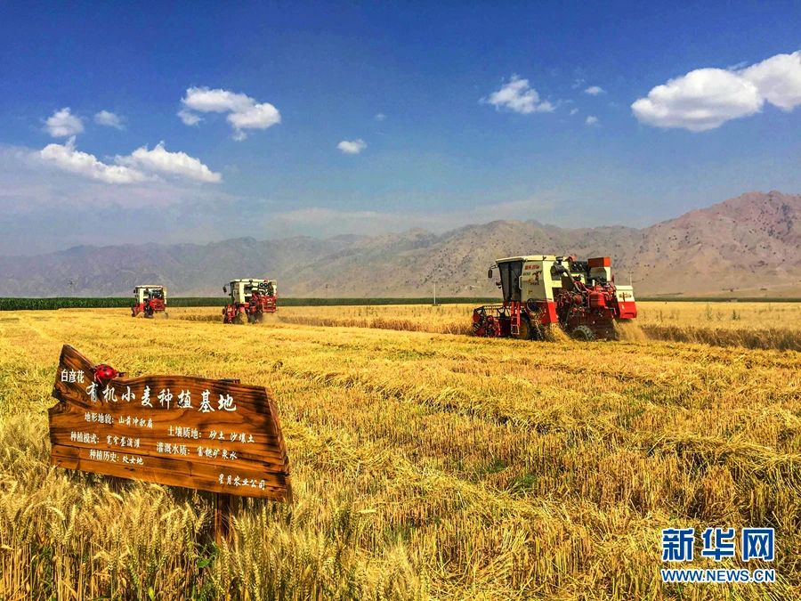 微信圖片_20240627114507.jpg 微信圖片_20240627114507.jpg