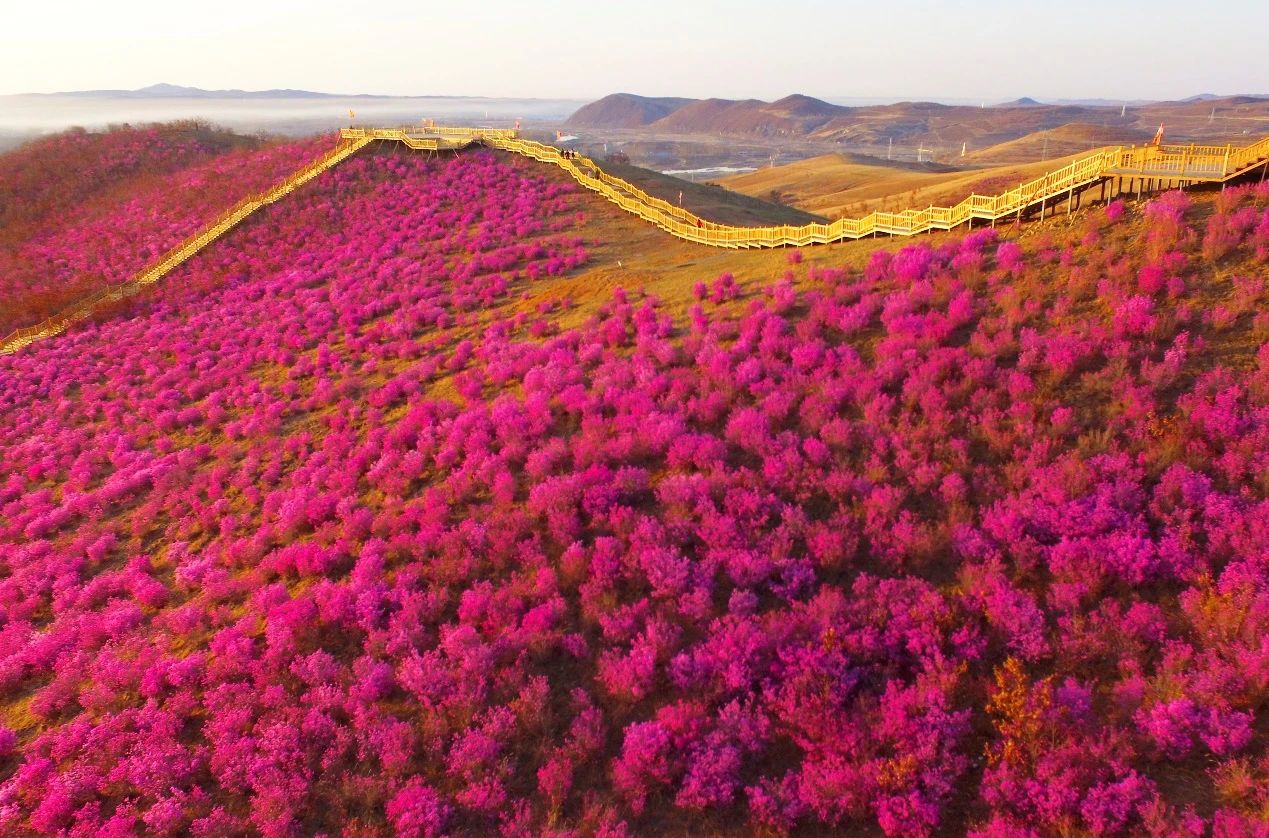 微信圖片_20231118181238.jpg 微信圖片_20231118181238.jpg