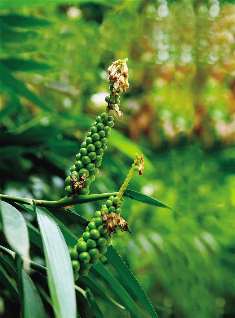 微信圖片_20240911102847.jpg 微信圖片_20240911102847.jpg