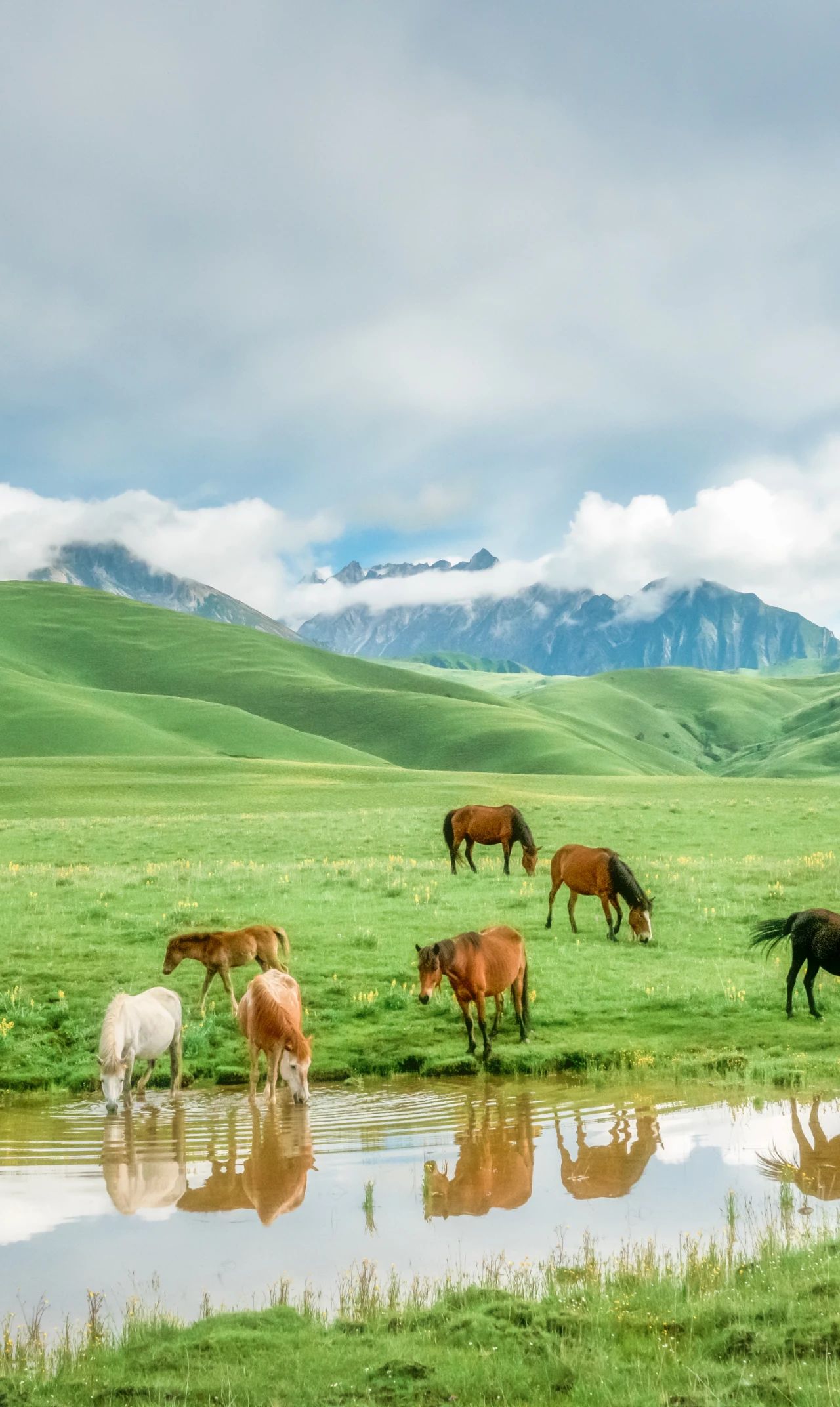 微信圖片_20231106103211.jpg 微信圖片_20231106103211.jpg