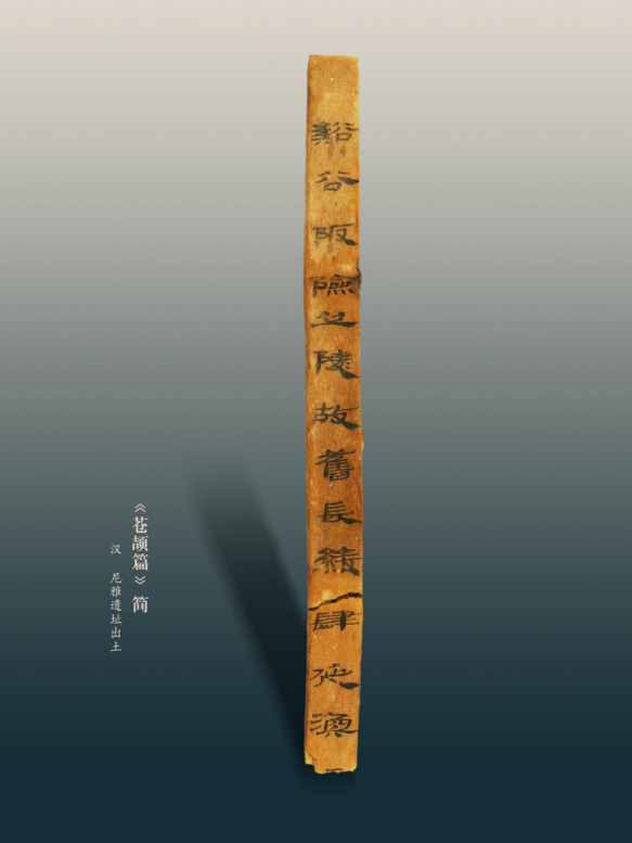 微信圖片_20240925101428.png 微信圖片_20240925101428.png