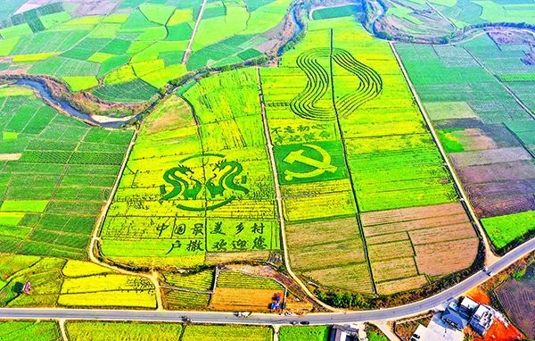 微信圖片_20231226083455.jpg 微信圖片_20231226083455.jpg