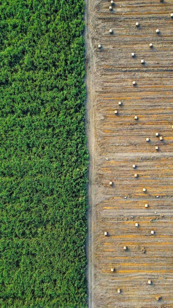 微信圖片_20231207161029.jpg 微信圖片_20231207161029.jpg