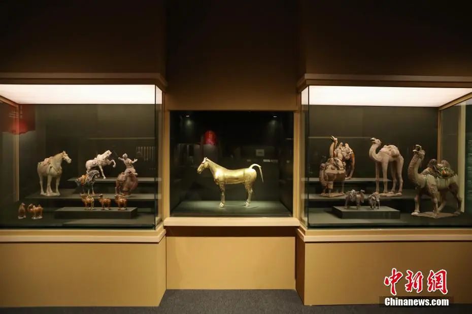 微信圖片_20241101094005.jpg 微信圖片_20241101094005.jpg