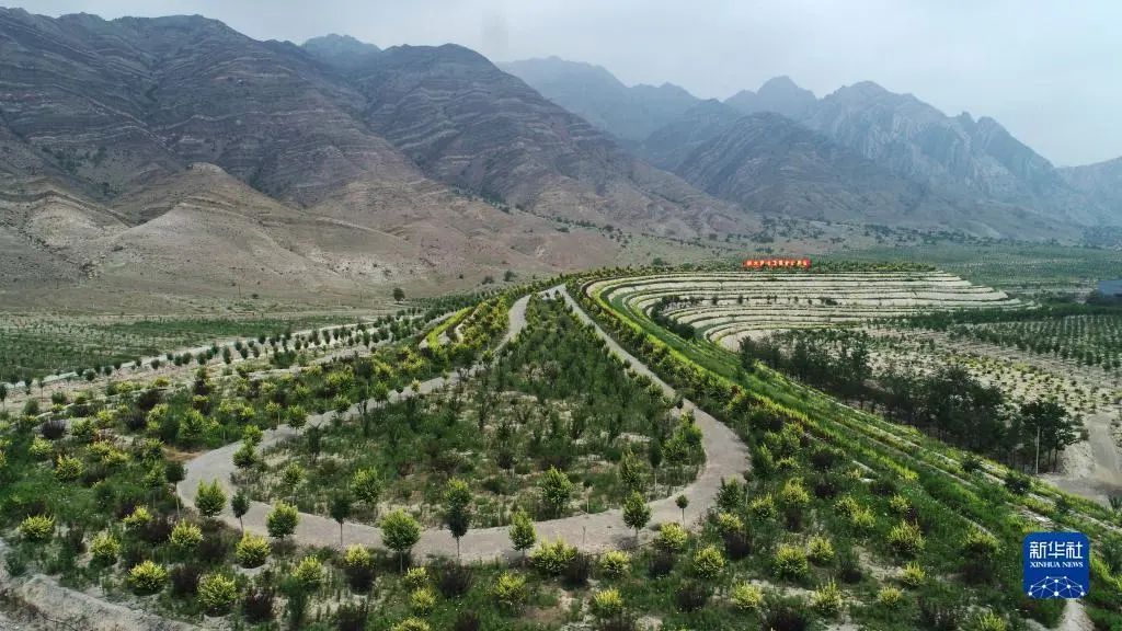 微信圖片_20240627115227.jpg 微信圖片_20240627115227.jpg