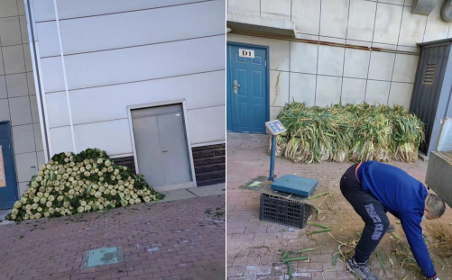 微信圖片_20221029183222.png 微信圖片_20221029183222.png