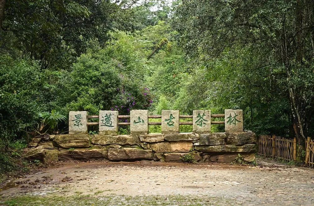 微信圖片_20231201162710.jpg 微信圖片_20231201162710.jpg