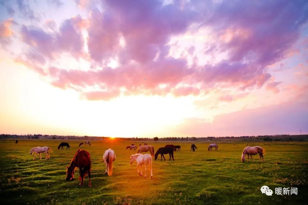 微信圖片_20240724115125.png 微信圖片_20240724115125.png