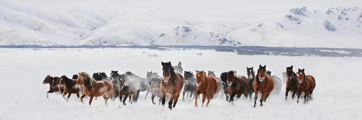 微信圖片_20231118181220.jpg 微信圖片_20231118181220.jpg