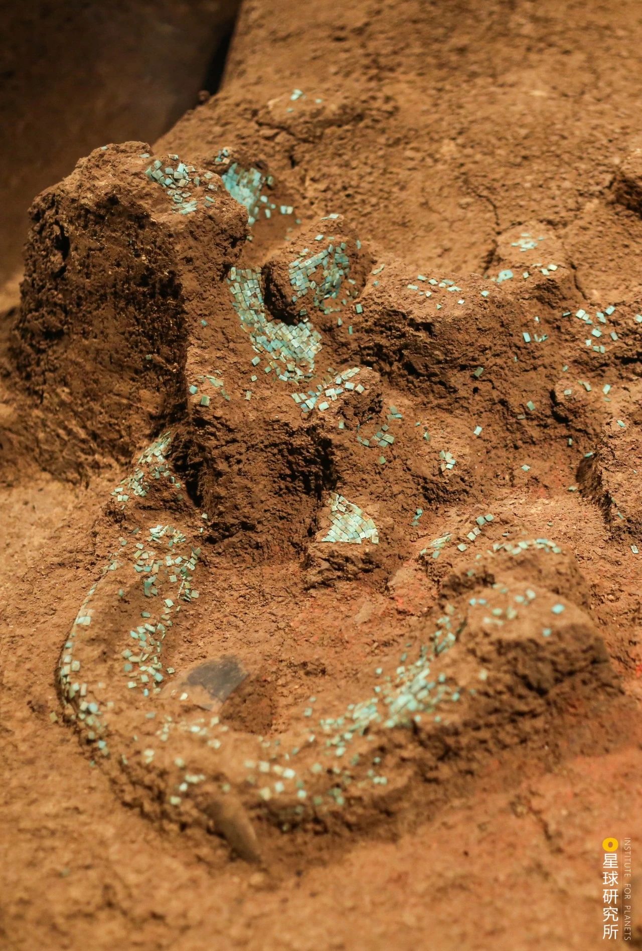 微信圖片_20231106104221.jpg 微信圖片_20231106104221.jpg