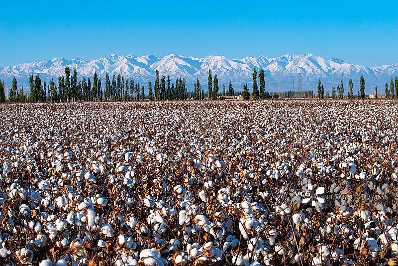 微信圖片_20241008102548.jpg 微信圖片_20241008102548.jpg