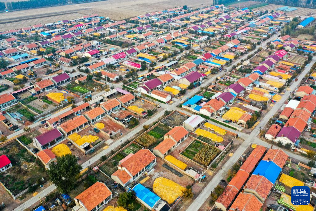 微信圖片_20250516124313.png 微信圖片_20250516124313.png