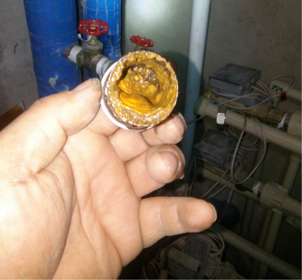 微信圖片_20250610101951.png 微信圖片_20250610101951.png