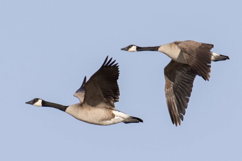 微信圖片_20231218112637.jpg 微信圖片_20231218112637.jpg