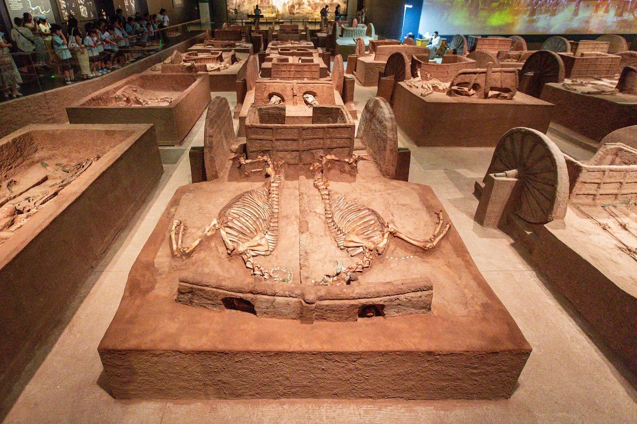 微信圖片_20240715100625.jpg 微信圖片_20240715100625.jpg